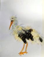 Nechtilová Veronika.jpg